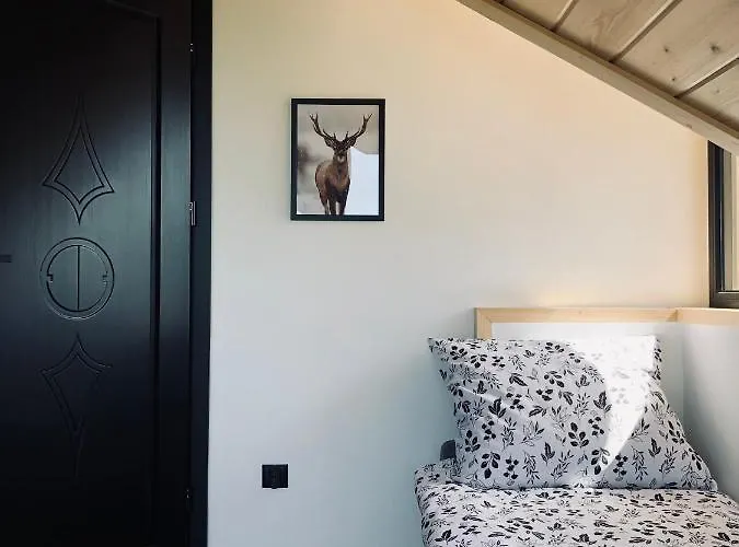 Czarne Jodly בית נופש *