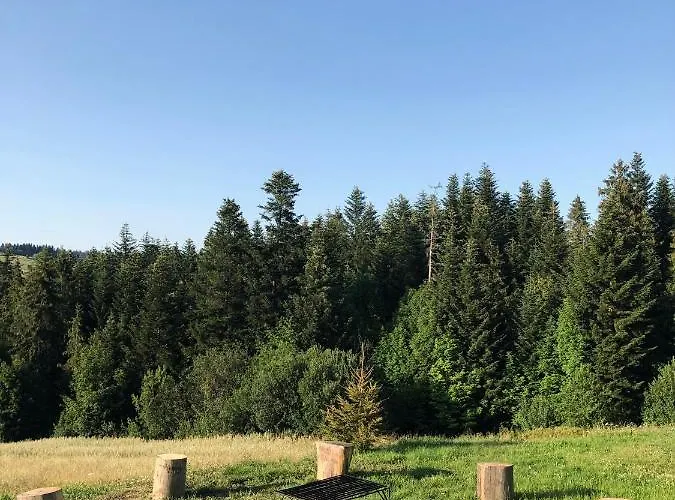 בית נופש Czarne Jodly *