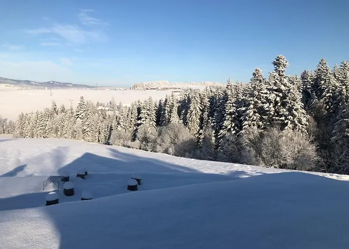 Czarne Jodly בית נופש Jablonka (Lesser Poland)